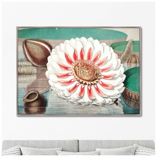 Репродукция картины на холсте A gigantic water lily in bloom, 1870г. Размер картины: 75х105см